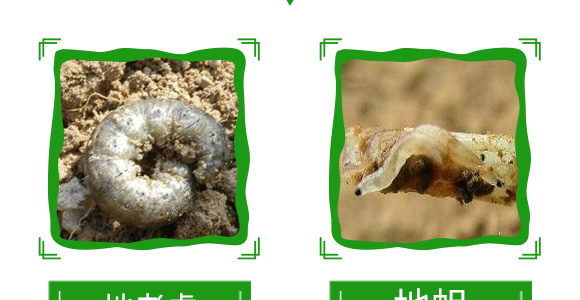 20%���衤������-����-��̖�r�I(y��)_11