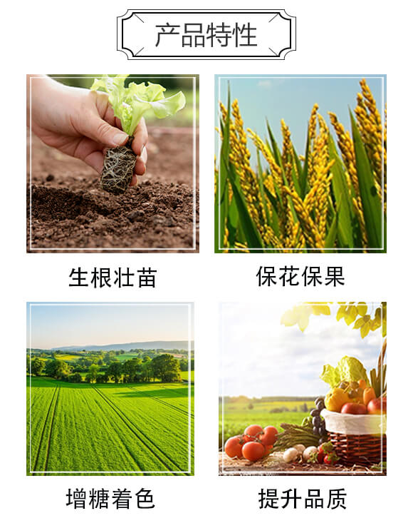 ø���~����ԭ�{-ϲ�~-��ķɳ_03