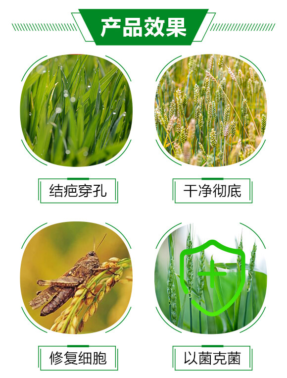 ��������-���w����_02