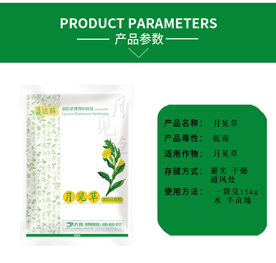 ��Ҋ�ݳ��݄�-��Ҋ�����-��Ҋ�݌���-���n2