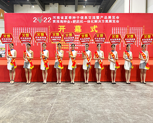 �����]�����Ĵ������������L(f��ng)�ɱM�@��