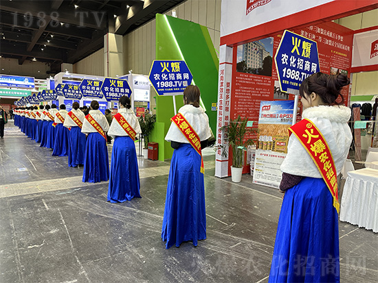 �𱬾W(w��ng)��Ů�Y�x���������2024��ԭ�r(n��ng)�Y�p������