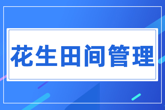 �������g����