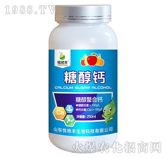 �Ǵ������}-�Ǵ��}-�����S