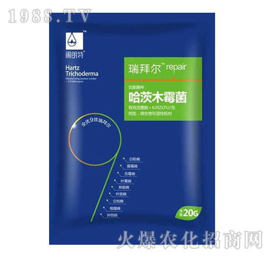 ����ľù����20g��-��ݠ�-������