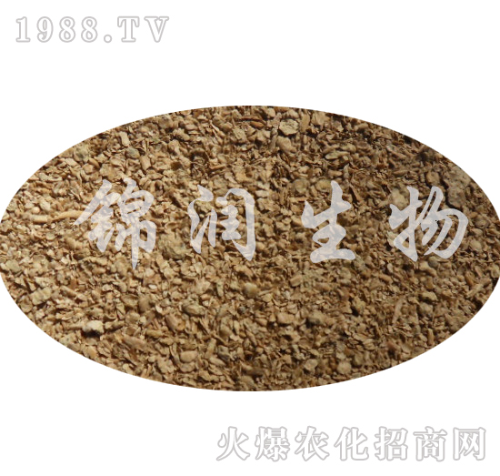 ����ù����-�\��(r��n)����