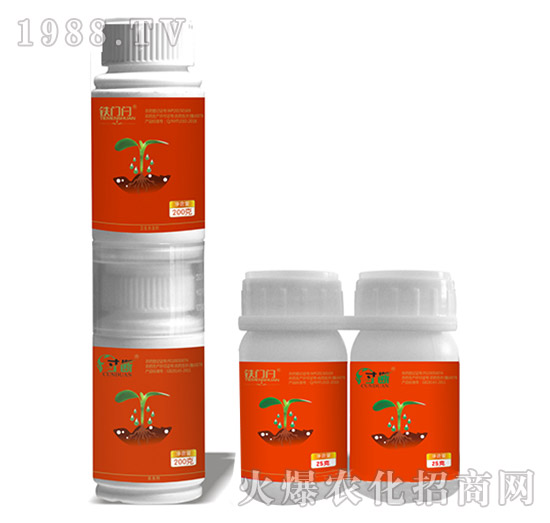 5%���x��+10%��Ч�������-���+�F�T�V-��ֲ��