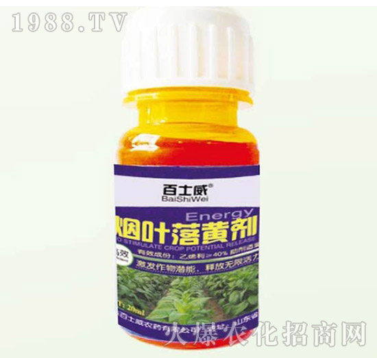 ���~���S��-��ʿ��