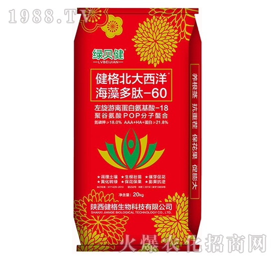 ���񱱴����������-60-�Gؐ��-��������