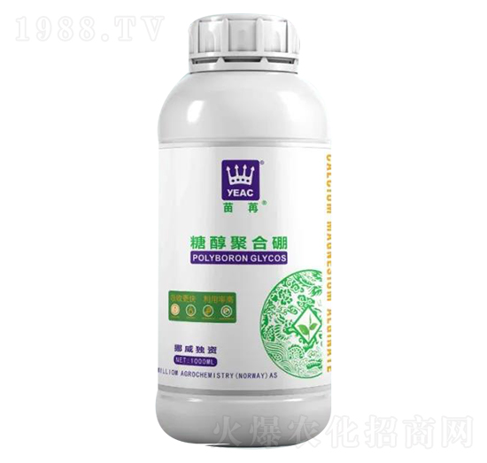 �Ǵ��ۺ���-����