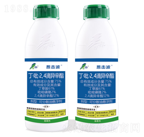 75%��������2��4���ή���֬-�[����-����