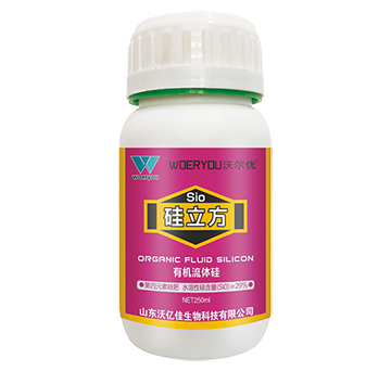 �ЙC(j��)���w��-������-�֠���(y��u)