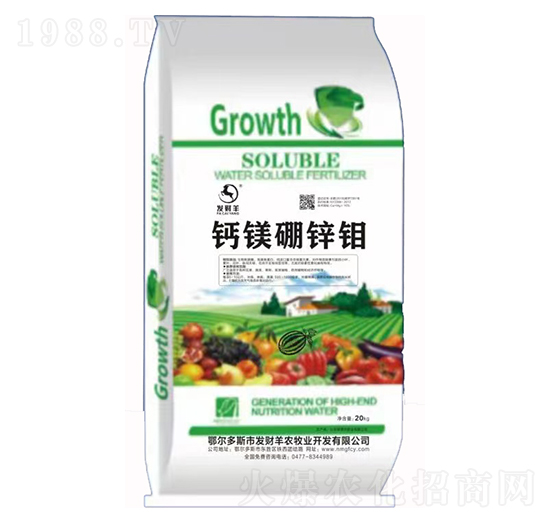 �}�V���\�f-�l(f��)ؔ(c��i)��