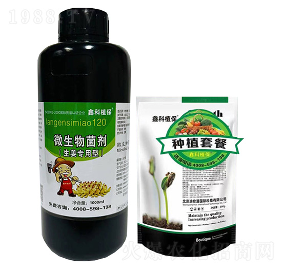 �����ο�ֲ�������ײ� ������ ���������ӌ���