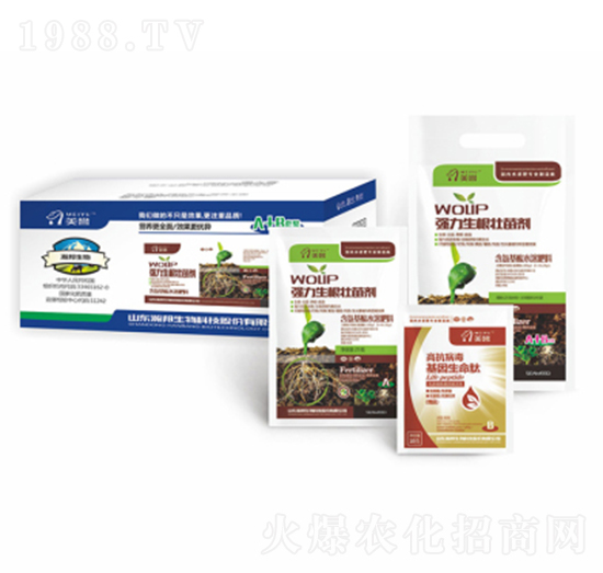 �������~��ʠI(y��ng)�B(y��ng)�ײ�A+B-嫰�����