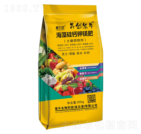 ������}��V��(�����{�턩)-������-�Ą�(chu��ng)��ţ