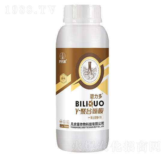 ��-�۹Ȱ���-������-���r��