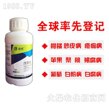 10%�����-ȫ��-�̩