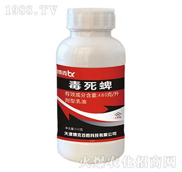 480��ÿ��������-���˰ل�