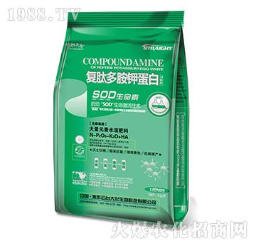 ��(f��)�Ķష⛵��׹��ܷ�-���_��