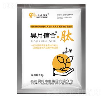 ����źϡ���-��»��r(n��ng)