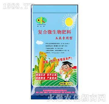 ���׌����͏�(f��)��΢�������-��ķ˹