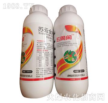 �K�ƽ�U��-�����e-�W�ρ�