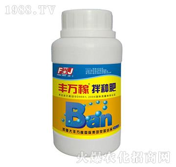 �V�V�Ͱ�N��-�S�f��