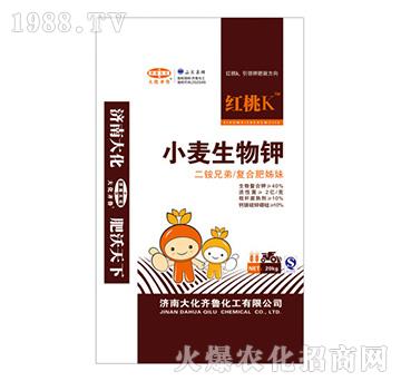 С�������-�t��K-��