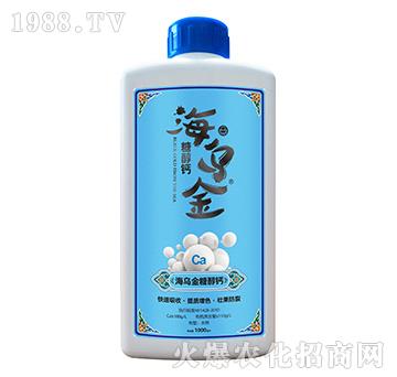 �Ǵ��}-������-��������