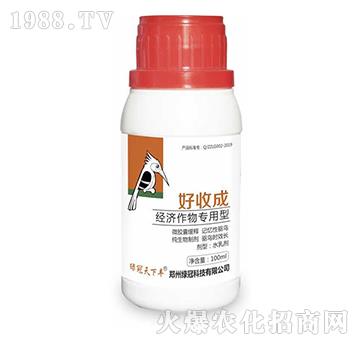 ��(j��ng)��(j��)�������-���ճ�-�G��