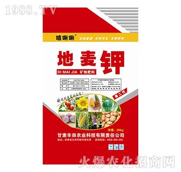 �V�����-�����-����-�S���r�I(y��)