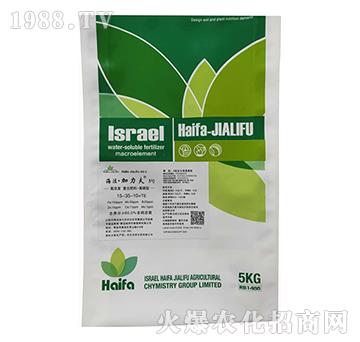 �����͏�(f��)�Ϸ���15-35-10+TE-����������3̖-����������