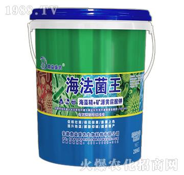 ��������-����ʢ�r(n��ng)