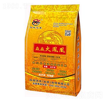 ���ͻ��P��-�������S