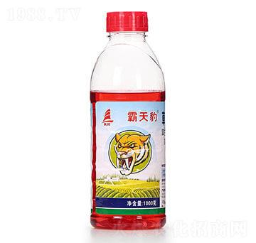 1000�˲ݸ�좮������} ���챪 ϲ�S��