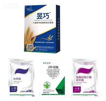 ����С������ͨ���M���ײ�-�����_