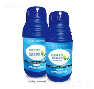 ���ݰ�ȫ��-���_