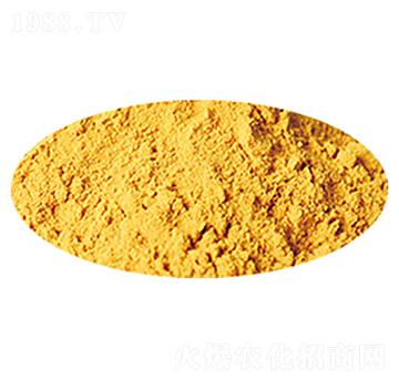 �����Ƿ�-���S