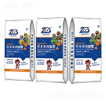 ��ľ�ҹ��܏�(f��)�Ϸ���-�����r(n��ng)-��(gu��)�����B(t��i)