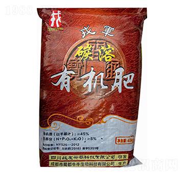 ̼���ЙC(j��)��-��(zh��n)���d�r(n��ng)