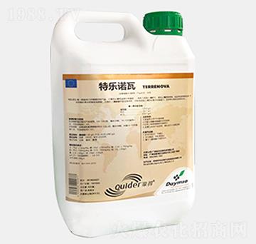 �ؘ��Z��-��������