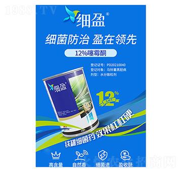 12%��ùͪ-��(x��)ӯ-�����A��