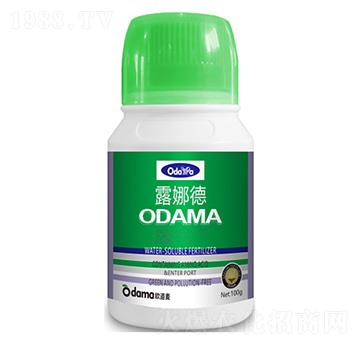 ¶�ȵ�-�W����