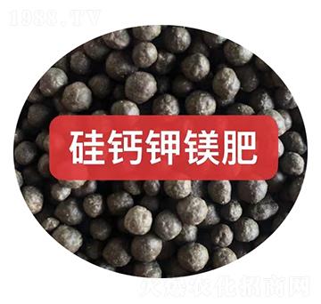 ���}��V���w��-���r�r�Y