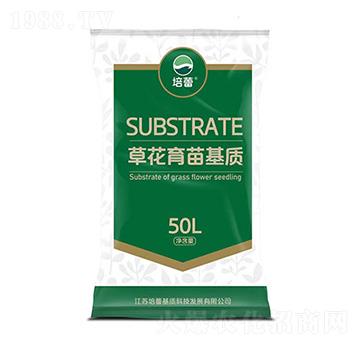 �ݻ�������|-����