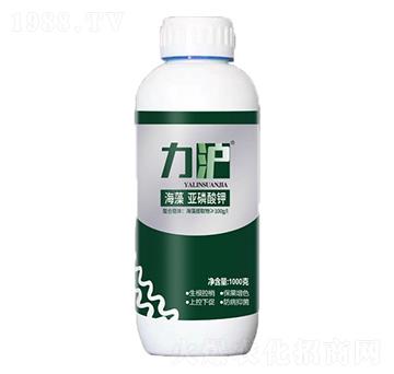 ���偆�����-��������