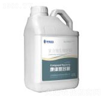 ��(f��)��΢�������-��(f��)�Ͼ�-��������