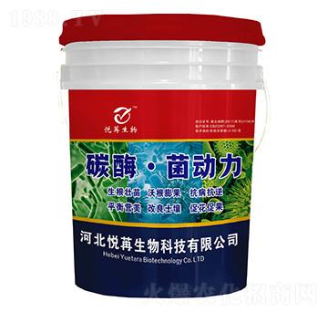 ̼ø������-����