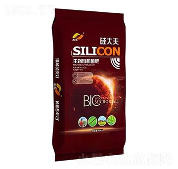 �����ЙC����-����-�����ʘI(y��)